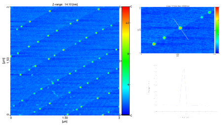 3310 - Figure 1 Image