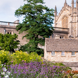 Oxford Angels Network