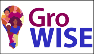 Image from GroWISE’s ‘Curious about Consultancy’ Lunch & Learn Masterclass 2023 Archive