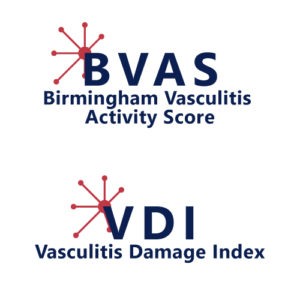 BVAS VDI